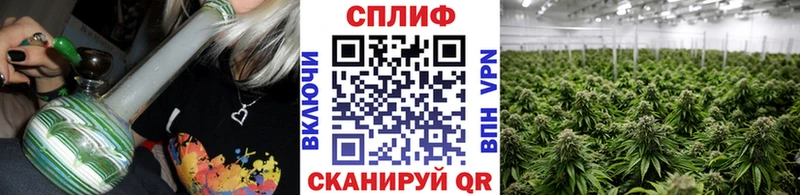 магазин продажи   Лянтор  Бошки марихуана сатива 